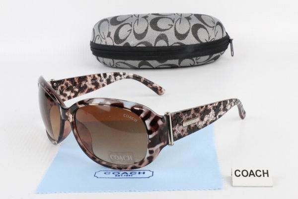 C0ACH Boutique Sunglasses 040